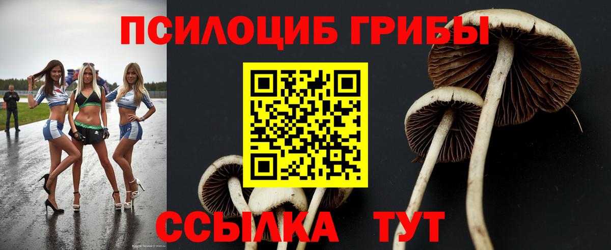 Псилоцибиновые грибы прущие грибы  Вход с VPN  Донецк 